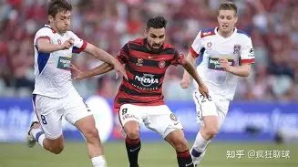 宝可梦新画,面惊艳对比,专家深度分,PINBO,Sports,平博体育,体育直播,体育赛事,APP下载,官方网地址