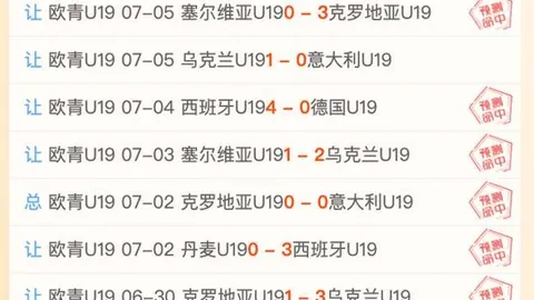 土耳其对阵美国，数据波动背后的真实实力分析